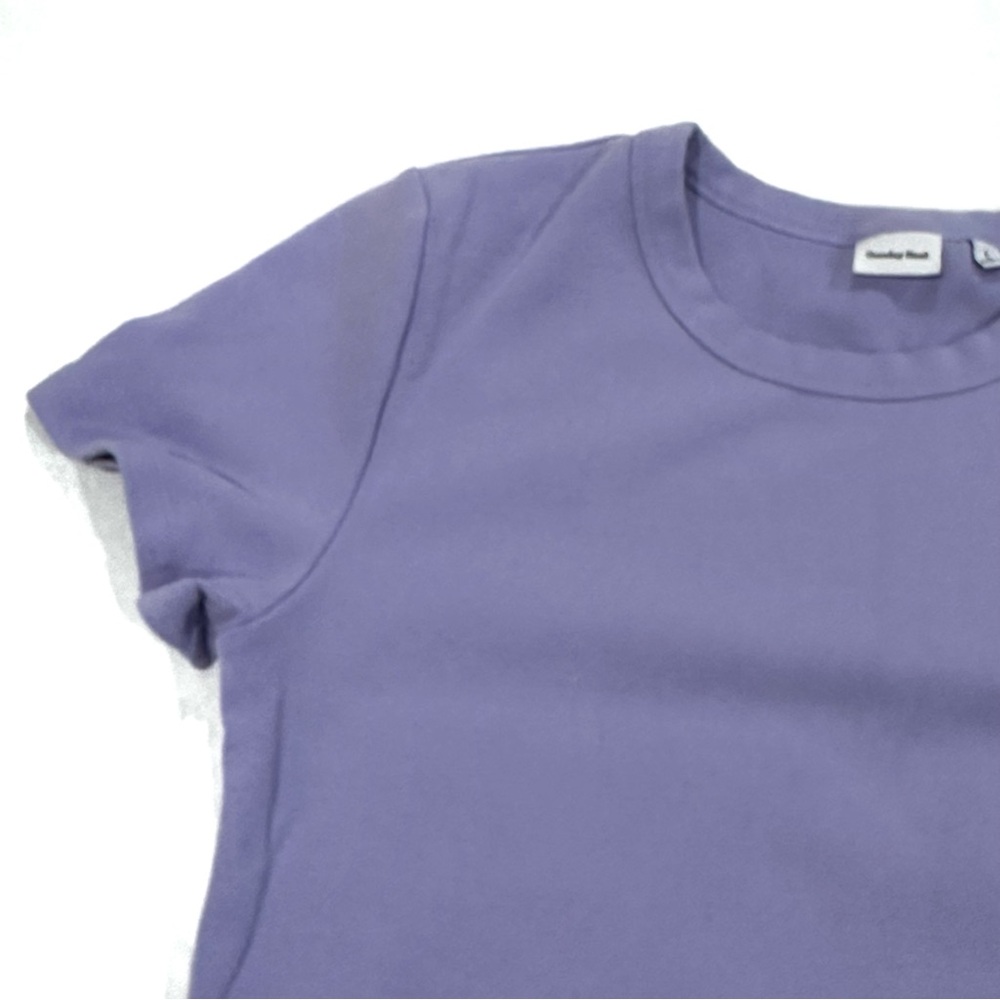Aritzia Sunday Best Short Sleeve Cotton Crop Top, L, Light Purple Tee - Picture 6 of 6
